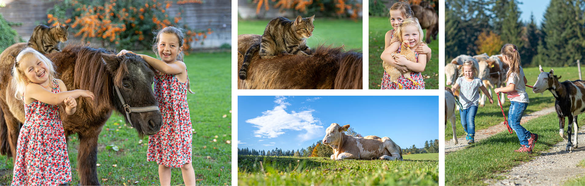 Ferienhof Weishäupl Tiere Ferienhof Weishäupl Tiere